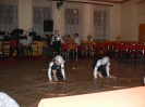 Ples Ohnišov_4