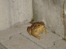 Deštné - soustředění_128