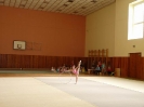 Oddílový závod_3