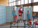Přebor HK a ajur cup_42