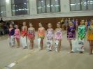 Sokol cup_4