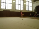 Sokol cup