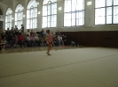 Sokol cup_8