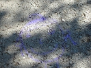 Soustředění 3.den_58