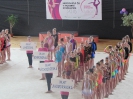 MČR 2015