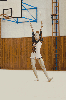 oddilovy_zavod_2019_18