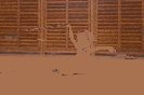 oddilovy_zavod_2019_36