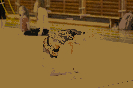 oddilovy_zavod_2019_43