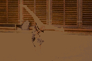 oddilovy_zavod_2019_45