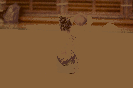 oddilovy_zavod_2019_46