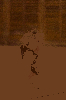 oddilovy_zavod_2019_51