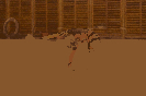 oddilovy_zavod_2019_56