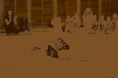 oddilovy_zavod_2019_68
